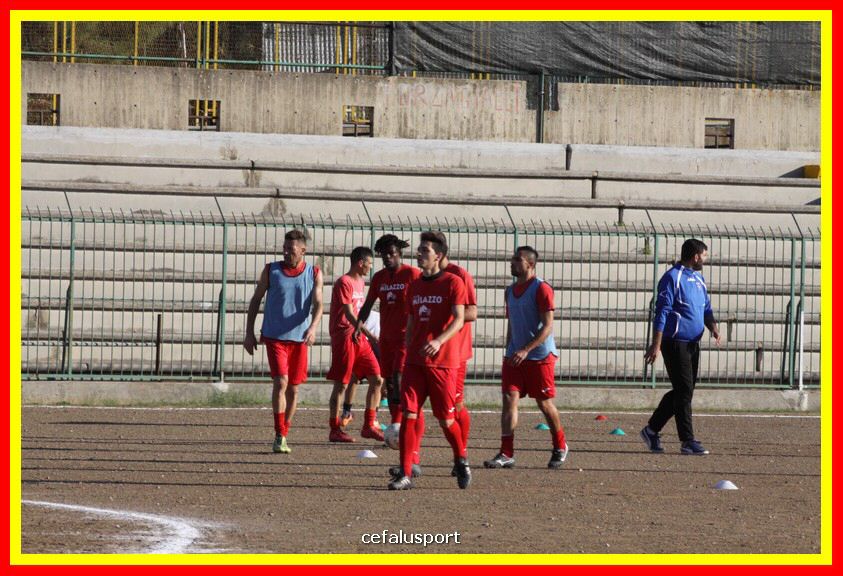 181111 Cepha_Milazzo 049_tn.JPG